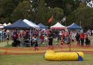 2014 Wallington Strawberry Fair