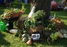 West Fest Geelong