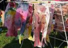 West Fest Geelong