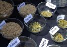 2014 Great Australian Beer Festival - Geelong