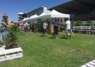 Great Australian Beer Festival Geelong