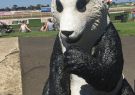 Great Australian Beer Festival Geelong