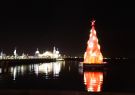 2015Xmas-DSC00929