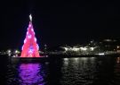Geelong Floating Christmas Tree