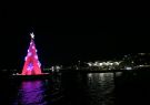 Geelong Floating Christmas Tree