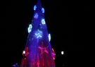 Geelong Floating Christmas Tree