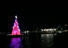 christmas-IMG_6511