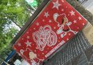 christmas-IMG_6658