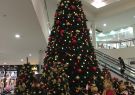 christmas-IMG_6687