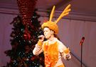 xmas-DSC01424