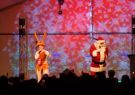 xmas-DSC01435