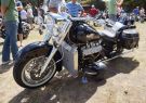 Drysdale Classic Car Show
