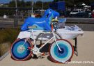 Barwon Heads Festival of the Sea