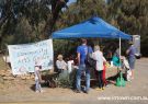Barwon Heads Festival of the Sea