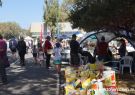 Barwon Heads Festival of the Sea