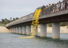 Barwon Heads Festival of the Sea Duck Race