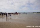 Barwon Heads Festival of the Sea Duck Race