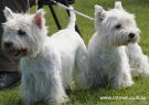 2015Highland-DSC03186.jpg