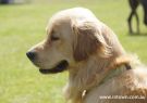 2015Highland-DSC03198.jpg