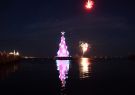 DSC02388
