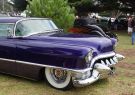 Queenscliff Rod Run