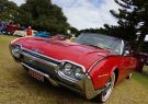 Queenscliff Rod Run