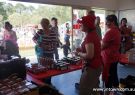 2015 Wallington Strawberry Fair