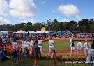 2015 Wallington Strawberry Fair