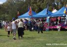 2015 Wallington Strawberry Fair