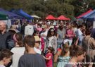 2015 Wallington Strawberry Fair