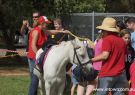 2015 Wallington Strawberry Fair