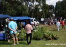 2015 Wallington Strawberry Fair