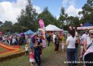 2015 Wallington Strawberry Fair