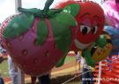 2015 Wallington Strawberry Fair