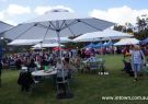 2015 Wallington Strawberry Fair