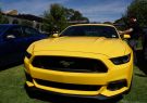 All Ford Day Geelong