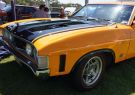 All Ford Day Geelong