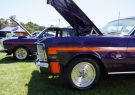 All Ford Day Geelong