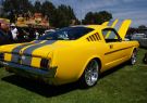 All Ford Day Geelong