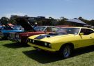 All Ford Day Geelong