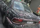 p-IMG_4551.jpg