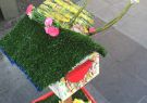 p-IMG_4563.jpg