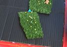 p-IMG_4572.jpg