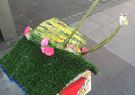 p-IMG_4581.jpg