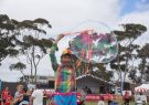 2015 Run Geelong