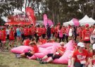 2015 Run Geelong
