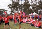 2015 Run Geelong