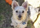 2016-DSC05640