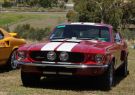 2016afd-DSC04573