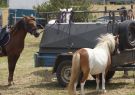 16AuDay-DSC03807